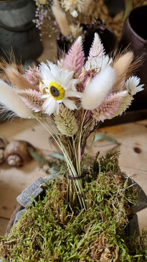Federbusch Celosia getrocknet pink rosa Trockenblumen im Mrs Greenery Shop bestellen Arrangement Blumendeko Blumenstrauss