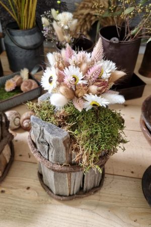 Federbusch Celosia getrocknet pink rosa Trockenblumen im Mrs Greenery Shop bestellen Arrangement Blumendeko Blumenstrauss