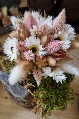 Federbusch Celosia getrocknet pink rosa Trockenblumen im Mrs Greenery Shop bestellen Arrangement Blumendeko Blumenstrauss