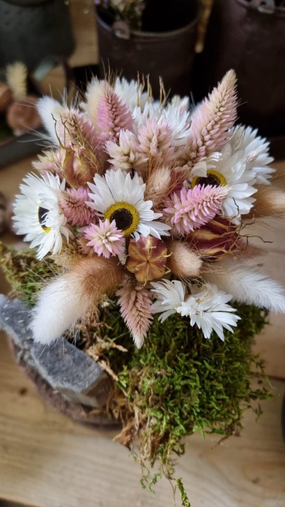 Federbusch Celosia getrocknet pink rosa Trockenblumen im Mrs Greenery Shop bestellen Arrangement Blumendeko Blumenstrauss