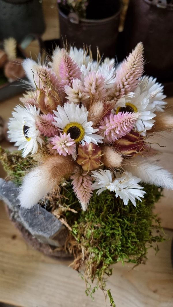 Federbusch Celosia getrocknet pink rosa Trockenblumen im Mrs Greenery Shop bestellen Arrangement Blumendeko Blumenstrauss