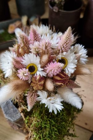 Federbusch Celosia getrocknet pink rosa Trockenblumen im Mrs Greenery Shop bestellen Arrangement Blumendeko Blumenstrauss