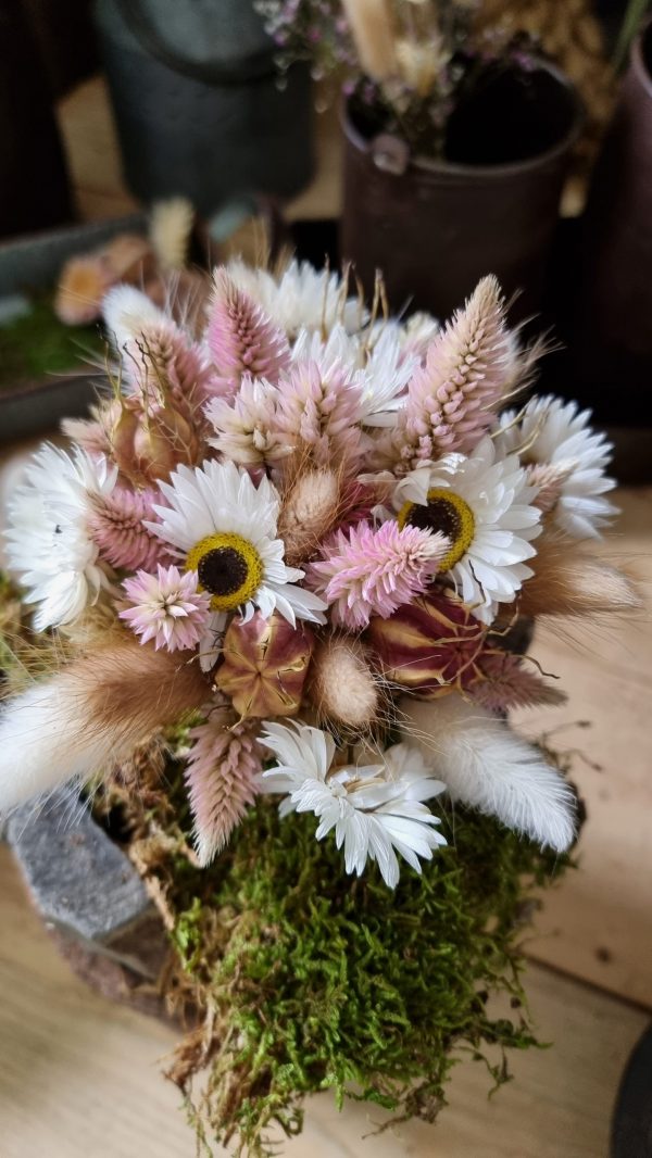Federbusch Celosia getrocknet pink rosa Trockenblumen im Mrs Greenery Shop bestellen Arrangement Blumendeko Blumenstrauss