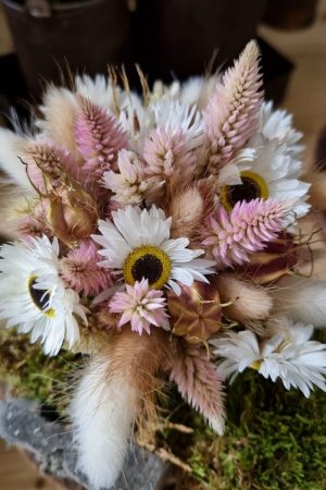 Federbusch Celosia getrocknet pink rosa Trockenblumen im Mrs Greenery Shop bestellen Arrangement Blumendeko Blumenstrauss