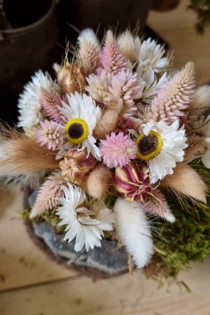 Federbusch Celosia getrocknet pink rosa Trockenblumen im Mrs Greenery Shop bestellen Arrangement Blumendeko Blumenstrauss