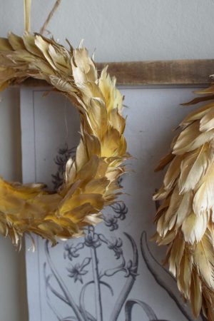 Federkranz. Goldiger Kranz aus Federn. Elegant und besonders. Goldig und schön
