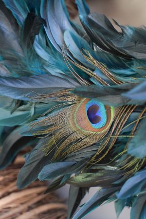 Pfauenfederkranz. Kranz aus Pfauenfedern. 50 und 65 cm Federkranz Kranz Kränze Ostern Osterkranz Dekokranz Naturkranz im Mrs Greenery Shop bestellen