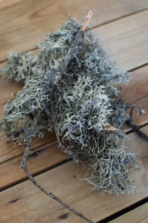 Flechten getrocknet. Deko mit Naturmaterialien kreativ basteln Kreativsein