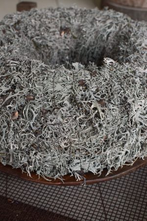 Flechtenkranz groß: 40 cm Durchmesser. Fertigkranz. Kranz aus Flechten gebunden. Winterkranz Fertigkranz Kränze im Mrs Greenery Shop bestellen