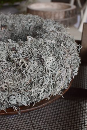 Flechtenkranz groß: 40 cm Durchmesser. Fertigkranz. Kranz aus Flechten gebunden. Winterkranz Fertigkranz Kränze im Mrs Greenery Shop bestellen