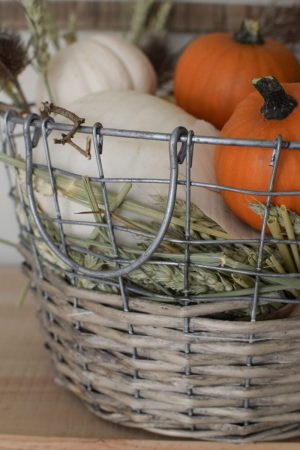 Herbstdeko mit Kürbissen. Der Klassiker. Weiss, orange, grün und schwarz. Dekoidee mit Natur Herbst