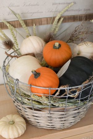 Herbstdeko mit Kürbissen. Der Klassiker. Weiss, orange, grün und schwarz. Dekoidee mit Natur Herbst
