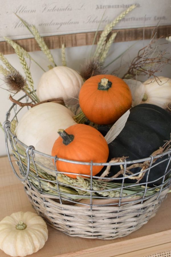 Herbstdeko mit Kürbissen. Der Klassiker. Weiss, orange, grün und schwarz. Dekoidee mit Natur Herbst