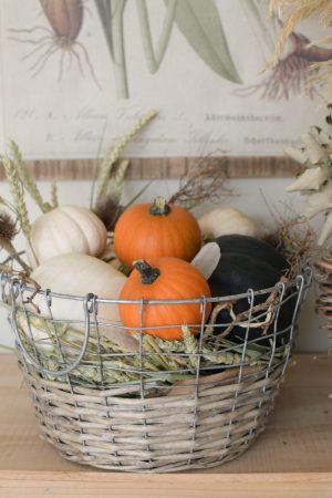 Herbstdeko mit Kürbissen. Der Klassiker. Weiss, orange, grün und schwarz. Dekoidee mit Natur Herbst
