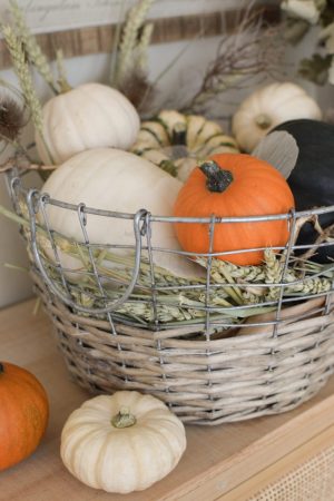 Herbstdeko mit Kürbissen. Der Klassiker. Weiss, orange, grün und schwarz. Dekoidee mit Natur Herbst