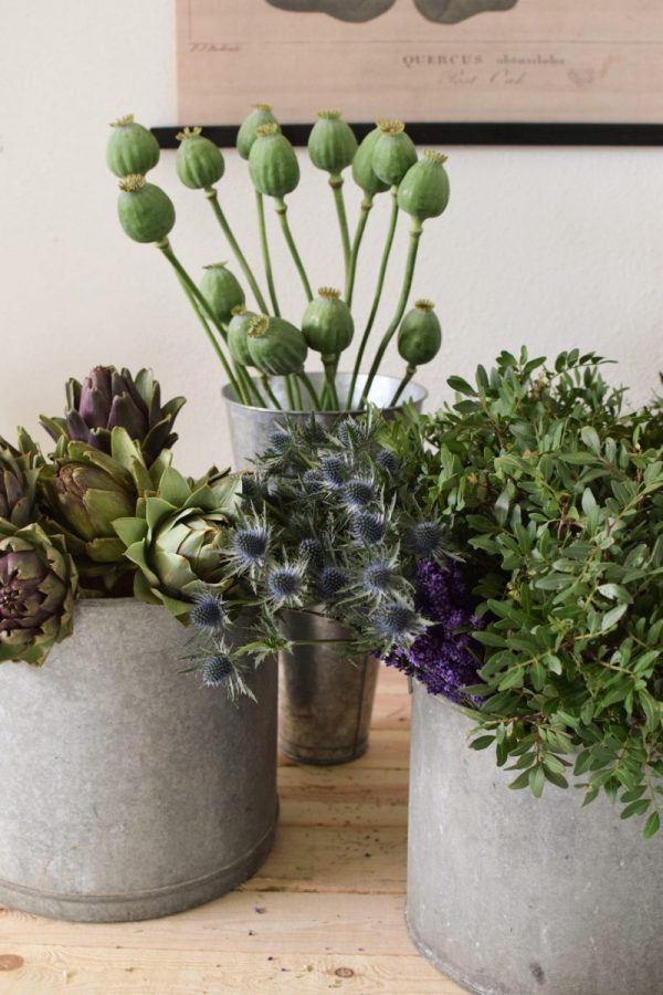 Frisches Greenery vom mrs greenery shop grünmaterial kreativsein