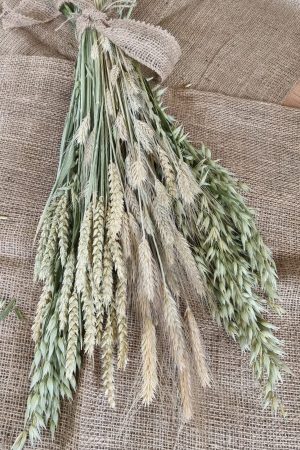 Getreide Mix Mischung Hafer Gerste Weizen getrocknet Trockenblumen im Mrs Greenery Shop bestellen kaufen Sommerdeko