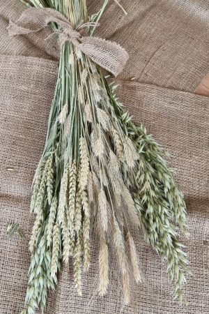 Getreide Mix Mischung Hafer Gerste Weizen getrocknet Trockenblumen im Mrs Greenery Shop bestellen kaufen Sommerdeko