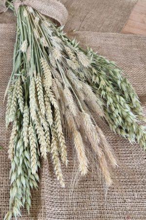 Getreide Mix Mischung Hafer Gerste Weizen getrocknet Trockenblumen im Mrs Greenery Shop bestellen kaufen Sommerdeko