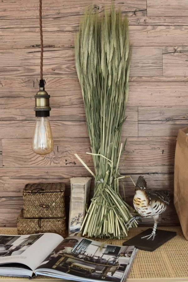1 Bund getrocknete Gerste. Kreativsein mit Trockenblumen. Naturdeko Dekoidee von Mrs Greenery