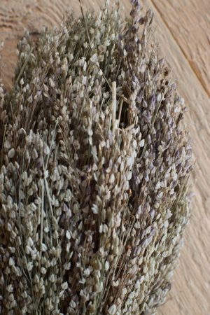 1 Bund getrocknetes Sterngrs. Kreativsein mit Trockenblumen. Naturdeko Dekoidee von Mrs Greenery