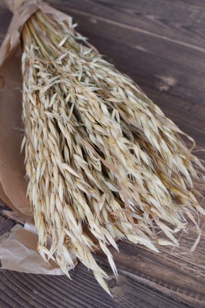 Hafer getrocknet Trockenblumen Naturdeko Naturmaterial Kreativsein