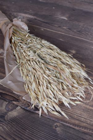 Hafer getrocknet Trockenblumen Naturdeko Naturmaterial Kreativsein