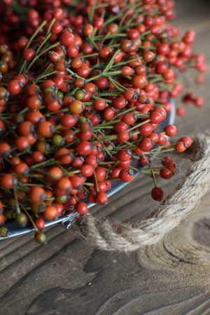 Hagebuttenkranz fertig gebunden für deine Winterdeko Weihnachtsdeko herbstdeko. Durchmesser 30 cm. Trocknet wunderschön ein.