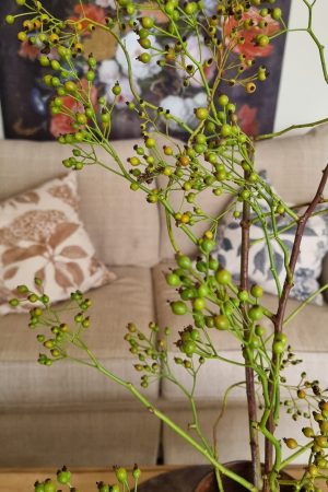 Hagebuttenzweig mini Ast Zweig Hagebutte grün Herbstdeko Deko Dekoidee Herbst im Mrs Greenery Shop bestellen kaufen