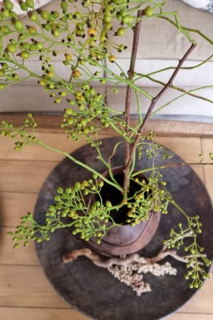 Hagebuttenzweig mini Ast Zweig Hagebutte grün Herbstdeko Deko Dekoidee Herbst im Mrs Greenery Shop bestellen kaufen