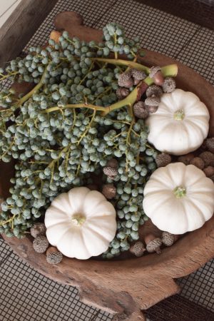 Herbstdeko mit weissen Kürbissen. Baby Boo mit Dattelzweigen und Eicheln Der Klassiker der Herbstdeko. Jetzt bestellen! Kürbis Mrs Greenery Shop