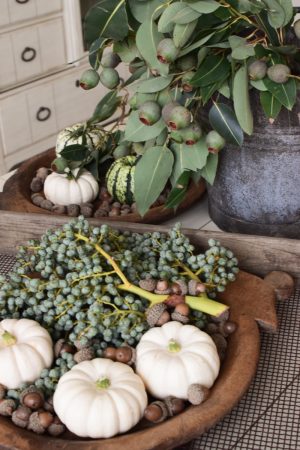 Herbstdeko mit weissen Kürbissen. Baby Boo mit Dattelzweigen, Eukalyptuskapsel Zweig und Eicheln Der Klassiker der Herbstdeko. Jetzt bestellen! Kürbis Mrs Greenery Shop