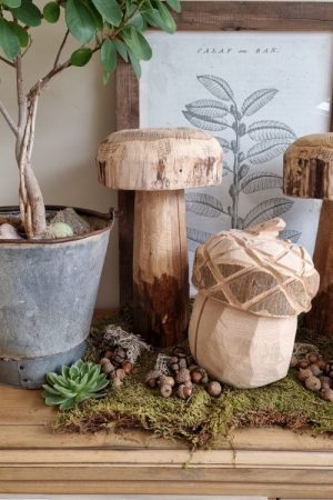 Holzdeko Eichel Dekoidee Naturdeko Pilz handarbeit Dekoeichel Dekopilz Herbstdeko Winterdeko im Mrs Greenery Shop bestellen kaufen