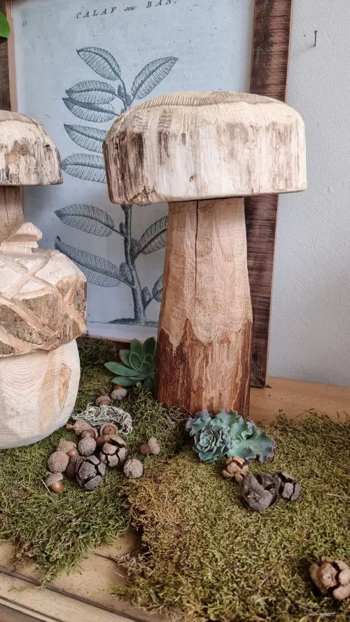 Holz-Pilz aus Eiche