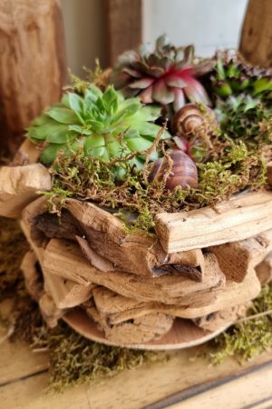 Dekoschale Schale Pflanzgefäß Pflanztopf wasserdicht Deko Dekoidee im Mrs Greenery Shop bestellen kaufen