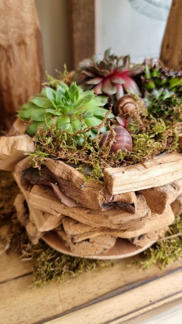 Dekoschale Schale Pflanzgefäß Pflanztopf wasserdicht Deko Dekoidee im Mrs Greenery Shop bestellen kaufen