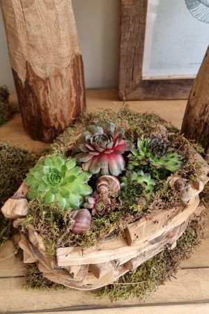 Dekoschale Schale Pflanzgefäß Pflanztopf wasserdicht Deko Dekoidee im Mrs Greenery Shop bestellen kaufen