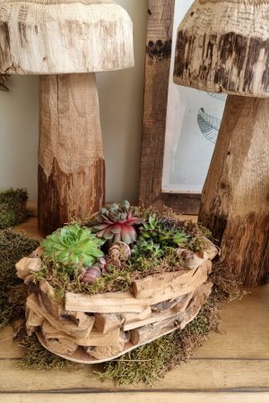 Dekoschale Schale Pflanzgefäß Pflanztopf wasserdicht Deko Dekoidee im Mrs Greenery Shop bestellen kaufen