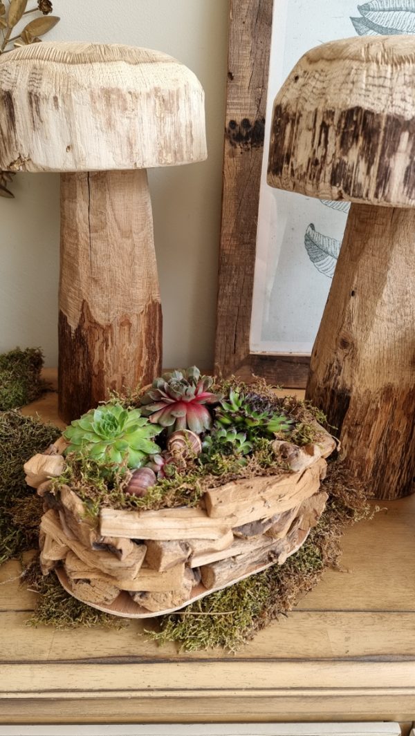 Dekoschale Schale Pflanzgefäß Pflanztopf wasserdicht Deko Dekoidee im Mrs Greenery Shop bestellen kaufen
