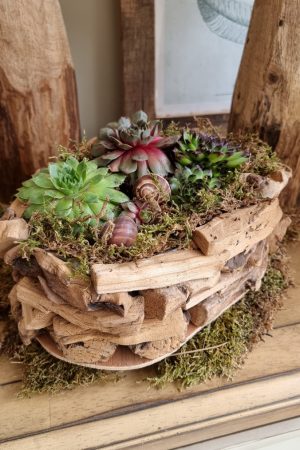 Dekoschale Schale Pflanzgefäß Pflanztopf wasserdicht Deko Dekoidee im Mrs Greenery Shop bestellen kaufen