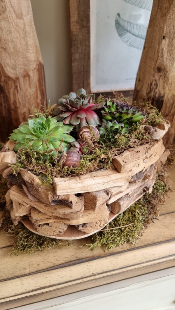 Dekoschale Schale Pflanzgefäß Pflanztopf wasserdicht Deko Dekoidee im Mrs Greenery Shop bestellen kaufen