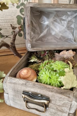 Dekoschublade Schublade Lade Pflanzgefäß Pflanztopf wasserdicht Deko Dekoidee im Mrs Greenery Shop bestellen kaufen