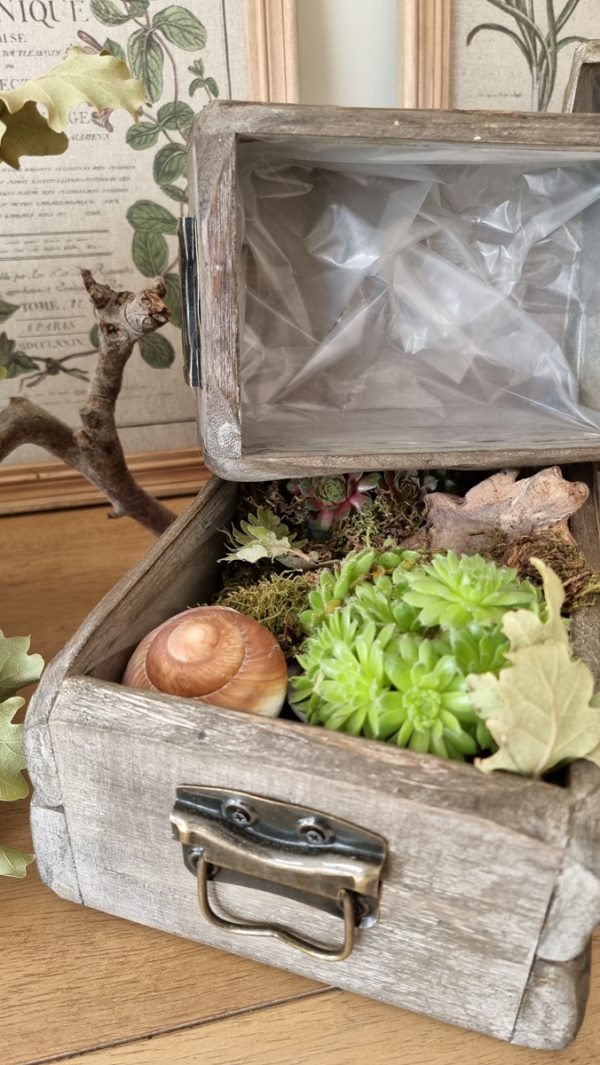 Dekoschublade Schublade Lade Pflanzgefäß Pflanztopf wasserdicht Deko Dekoidee im Mrs Greenery Shop bestellen kaufen