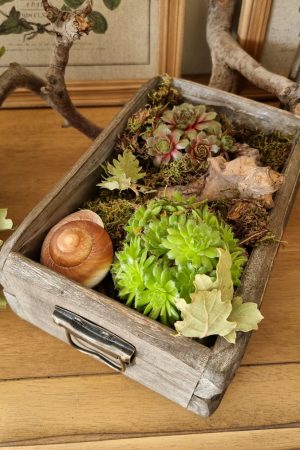 Dekoschublade Schublade Lade Pflanzgefäß Pflanztopf wasserdicht Deko Dekoidee im Mrs Greenery Shop bestellen kaufen
