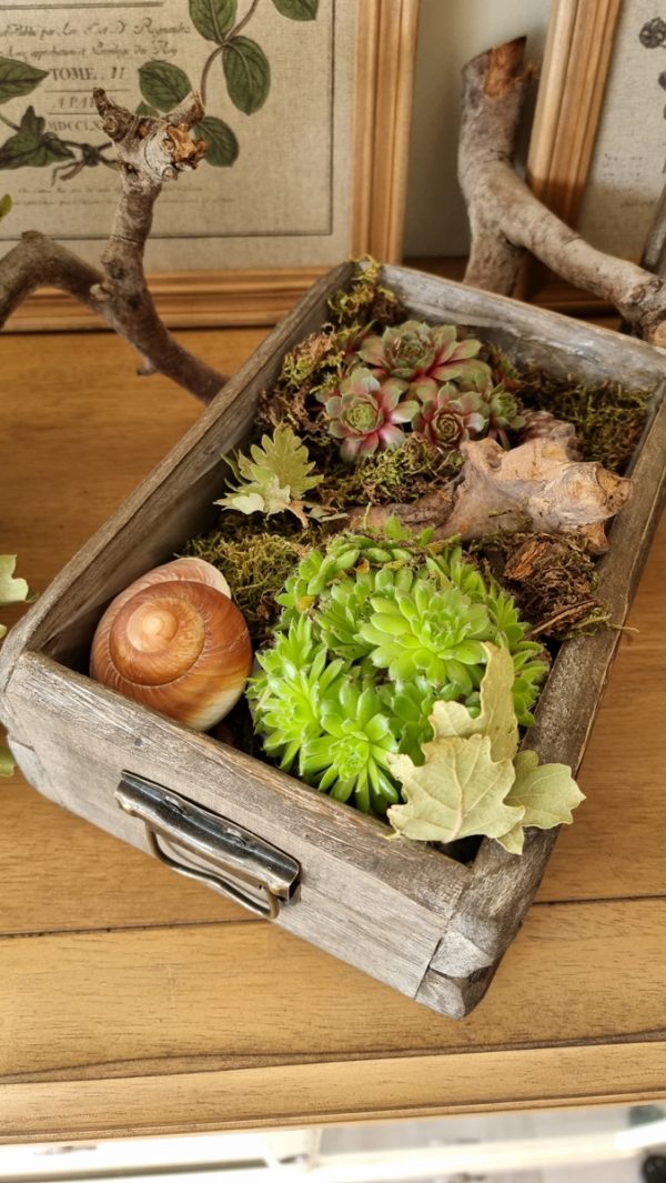 Dekoschublade Schublade Lade Pflanzgefäß Pflanztopf wasserdicht Deko Dekoidee im Mrs Greenery Shop bestellen kaufen