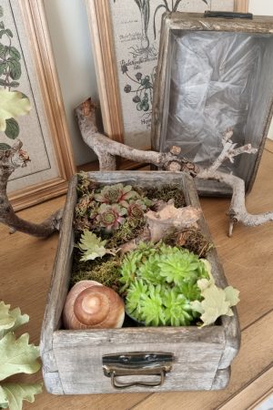 Dekoschublade Schublade Lade Pflanzgefäß Pflanztopf wasserdicht Deko Dekoidee im Mrs Greenery Shop bestellen kaufen