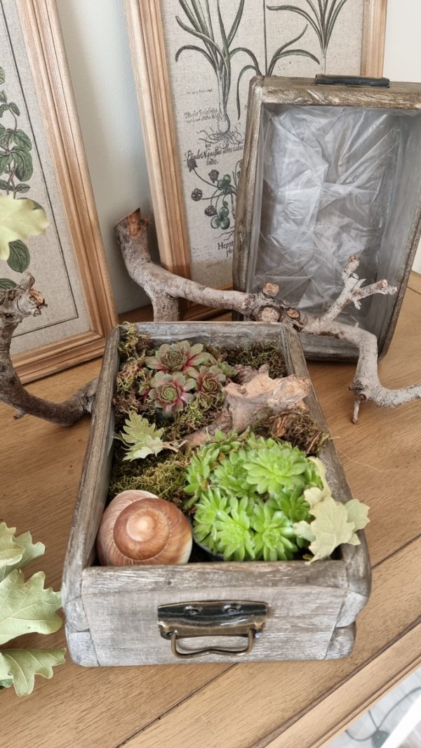 Dekoschublade Schublade Lade Pflanzgefäß Pflanztopf wasserdicht Deko Dekoidee im Mrs Greenery Shop bestellen kaufen
