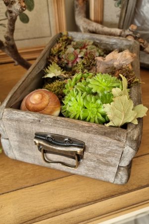 Dekoschublade Schublade Lade Pflanzgefäß Pflanztopf wasserdicht Deko Dekoidee im Mrs Greenery Shop bestellen kaufen