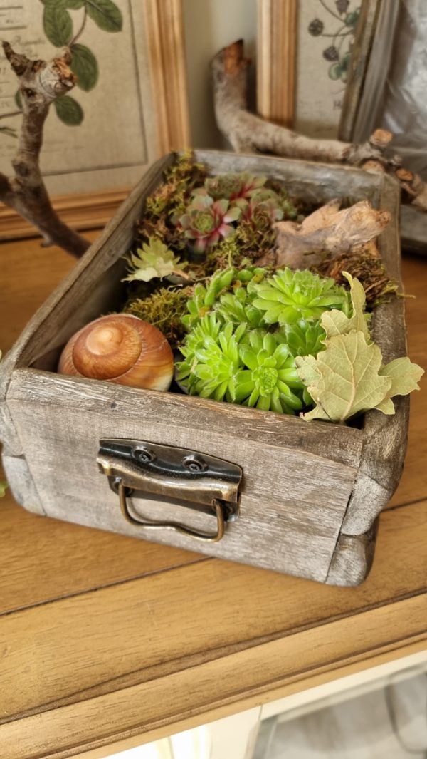 Dekoschublade Schublade Lade Pflanzgefäß Pflanztopf wasserdicht Deko Dekoidee im Mrs Greenery Shop bestellen kaufen
