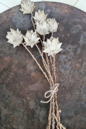 Blumenstrauß palmblätter Trockenblumen Blätterstrauß Blüten Blütendeko Deko Dekoidee im Mrs Greenery Shop bestellen kaufen